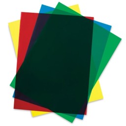 Evergreen Set Hojas Colores15x30x0.25cm