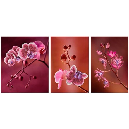 MiniArt Crafts Nature Pink Orchids Triptych